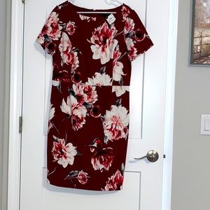NWT SZ 16 Print White House Black Market Dress